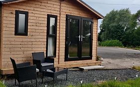 Cosy Log Cabin With Views Of Scrabo Tower